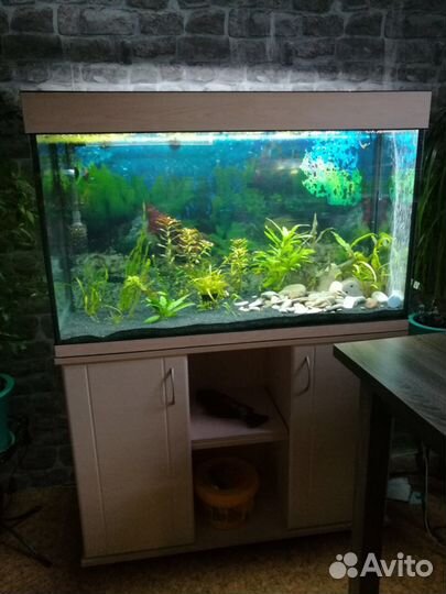 Аквариум 160л новый + Led свет. Гарантия 5 лет