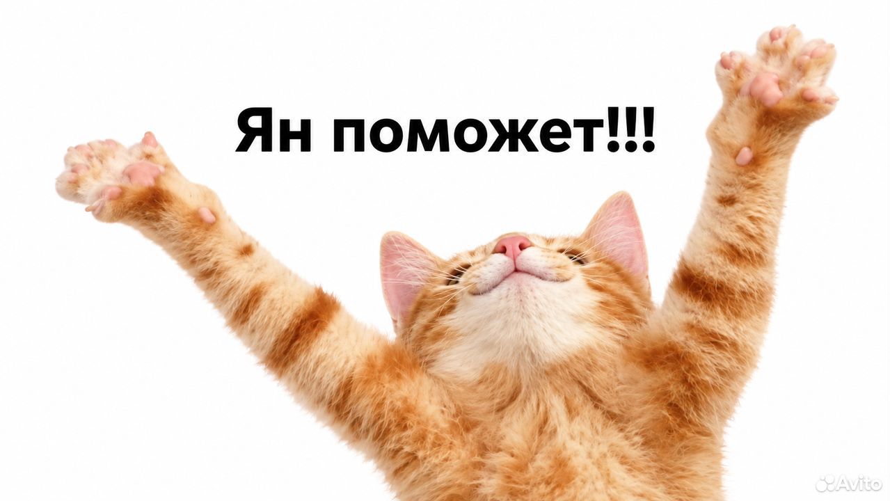 ВКР, статья, тесты, Няндома