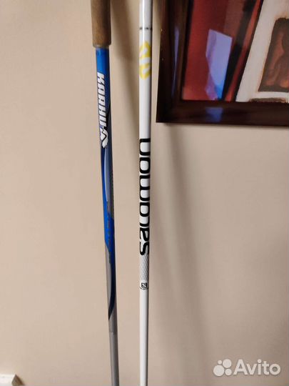 Лыжные палки