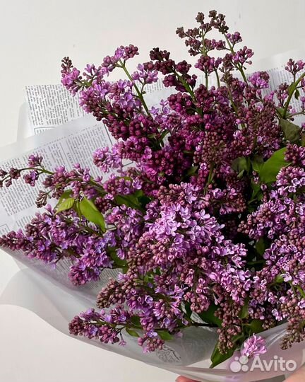 Букет из Сирени