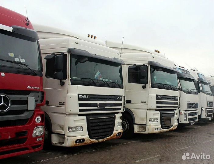 Грузоперевозки межгород 5-50 тонн тент, реф, трал