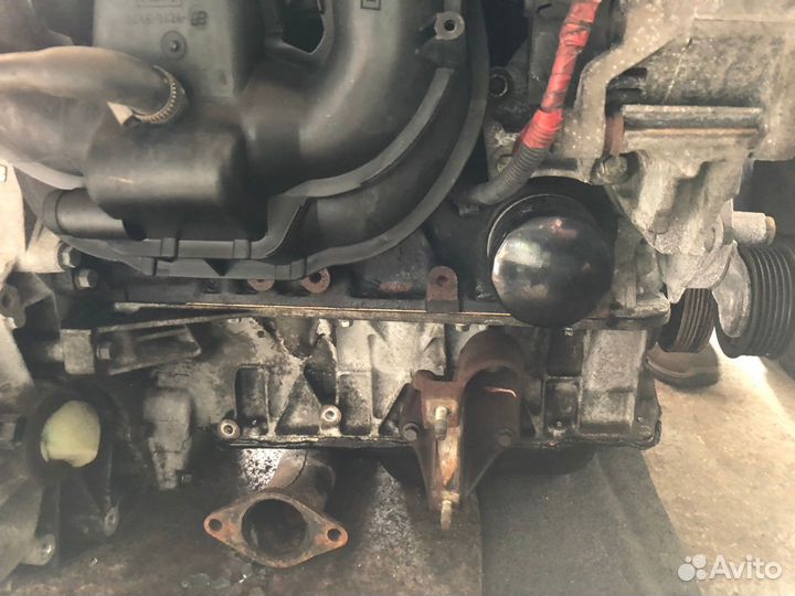 Двигатель eddb Ford Focus 2.0 Zetec