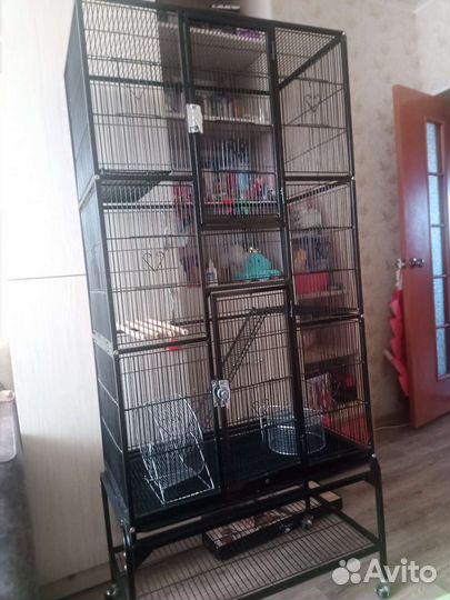 Клетка для птиц, белок дегу, бурундуков