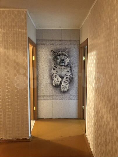 3-к. квартира, 58,8 м², 5/5 эт.