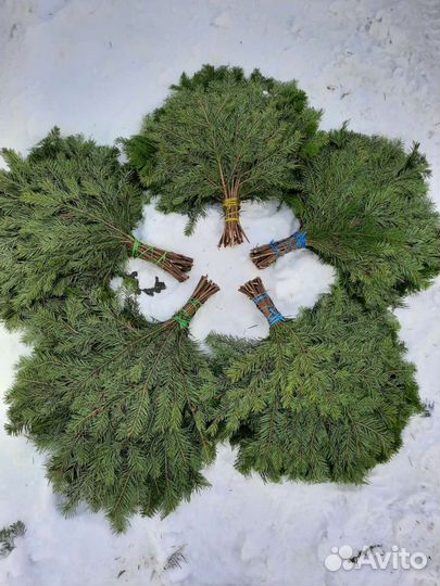 Веники берёзовый, дубовый,эвкалиптовый, пихтовый