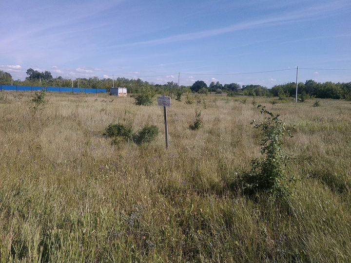 Участок 10 сот. (ИЖС)