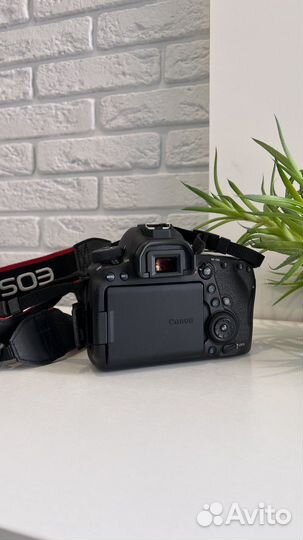 Canon eos 6d mark ii