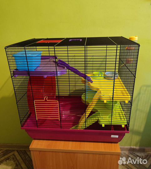 Клетка для сирийского хомяка, крыс