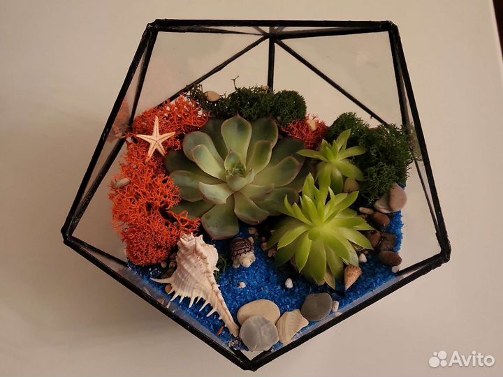 Флорариум с суккулентами