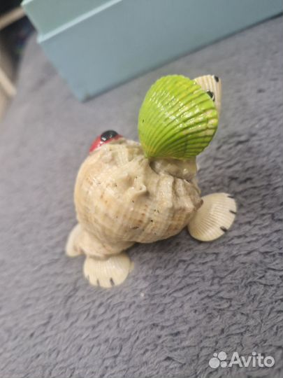 Черепашка ракушка