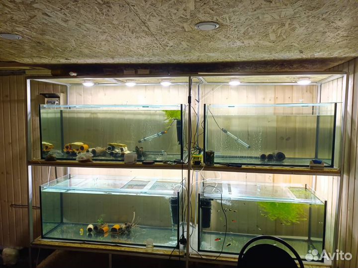 Аквариум под заказ