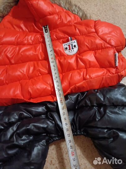 Одежда для собак