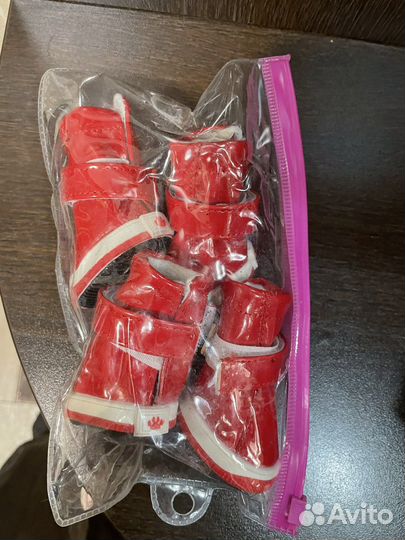 Одежда и обувь для собак