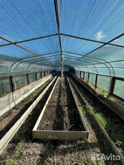 Сдаю теплицы в Аренду
