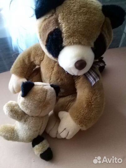 Семья енотов : мама Енотиха и малыш