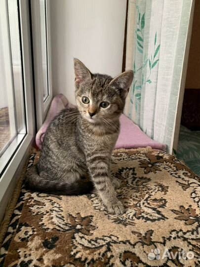 Европейская