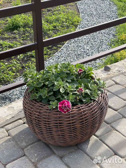 Кашпо из ротанга