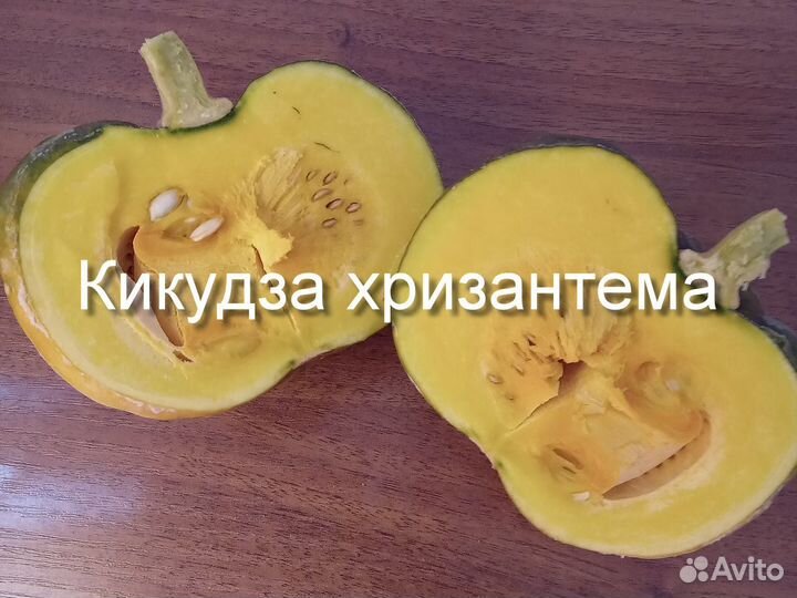 Тыква Кикудза японская хризантема