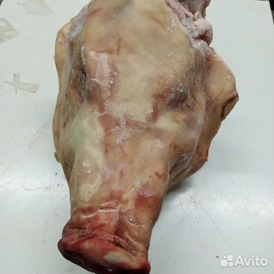 Мясо свинина оптом