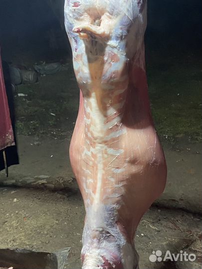 Мясо баранина