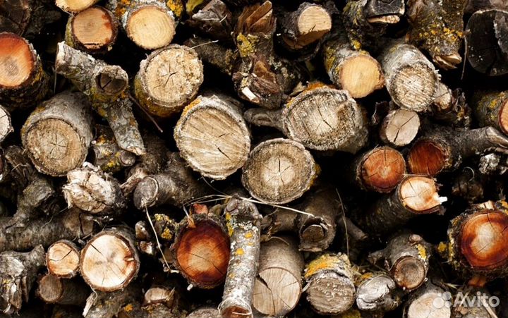 Дрова гост