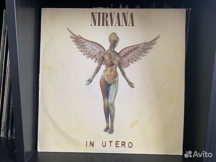 Nirvana in utero