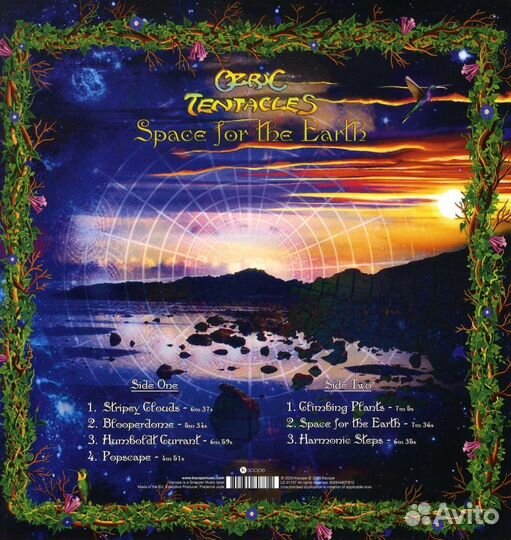 Ozric Tentacles - Space For The Earth (180g) (1 LP