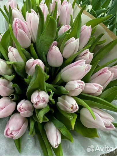 Тюльпаны - букеты цветов и пачками