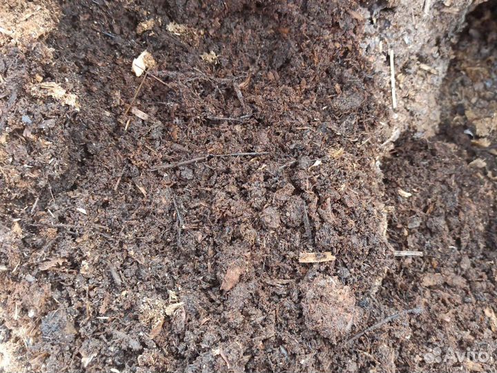Перегной. В мешках самовывоз. Торф опилки