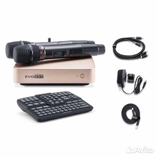 Караоке Evobox Plus Gold