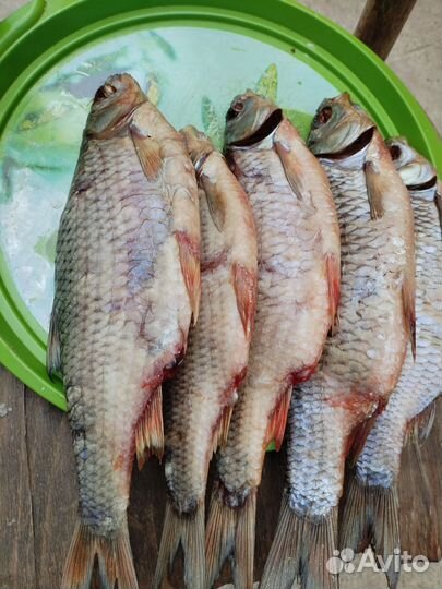 Рыба вяленая