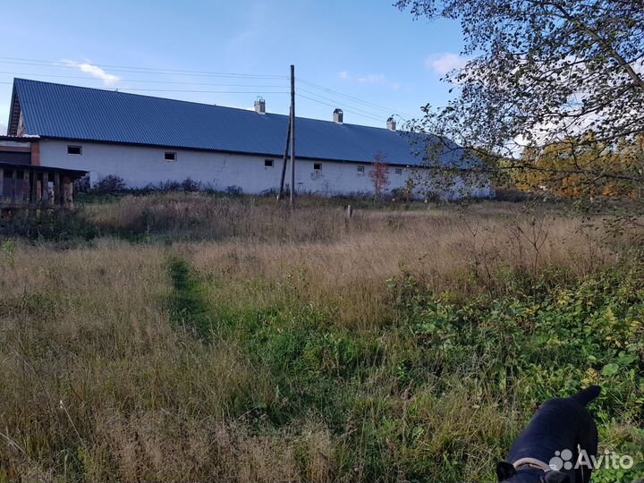 Ищю инвестора агробизнес