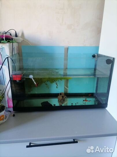 Аквариум 130 литров