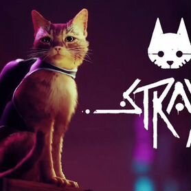 Stray ps4