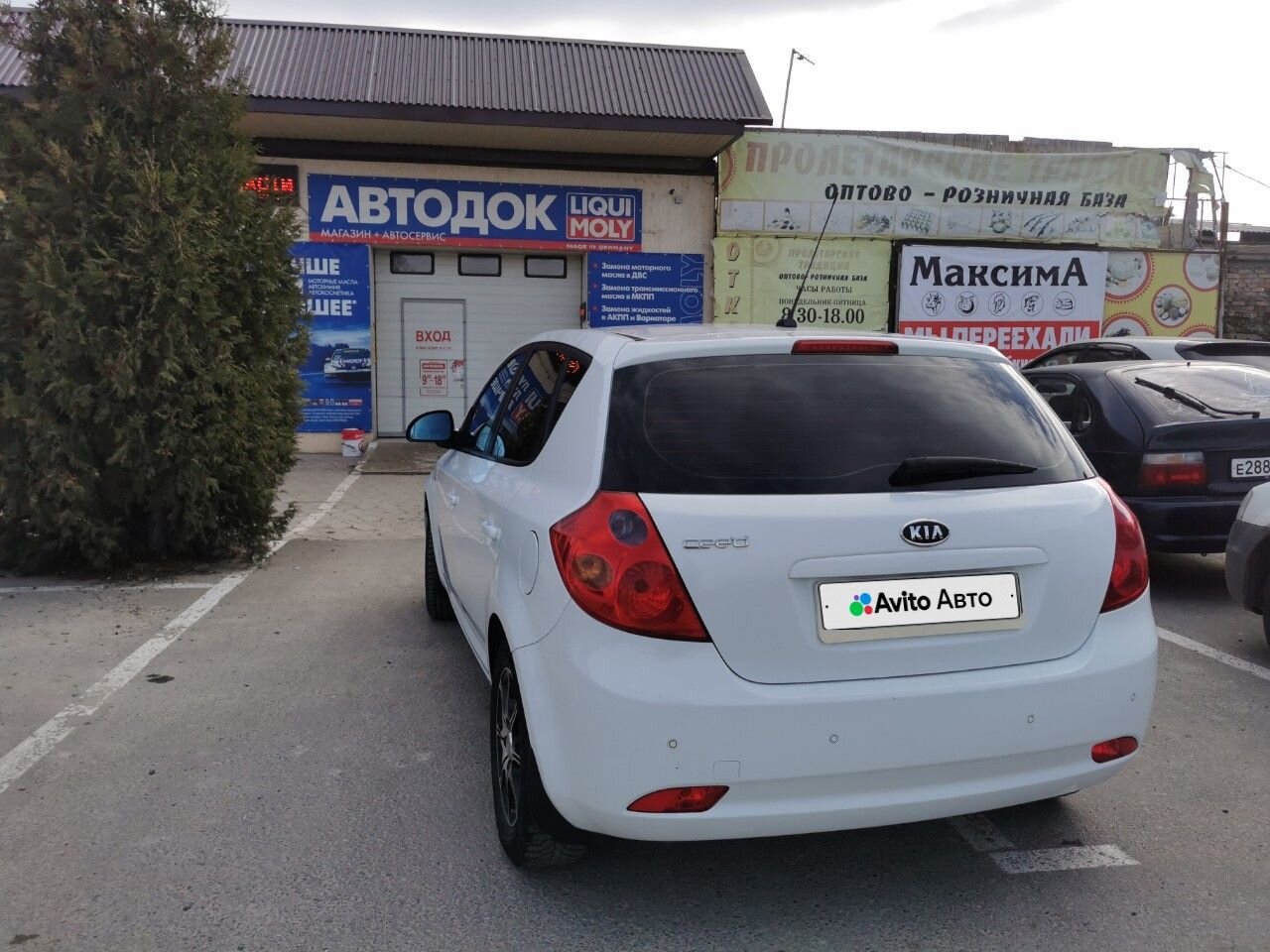 Kia Ceed: фото владельца