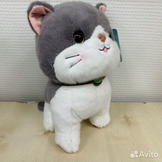 Мягкая игрушка Кот с ошейником, 20см