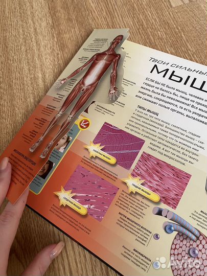 Книги познавательные