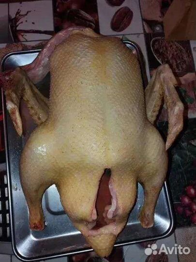 Мясо домашней птицы