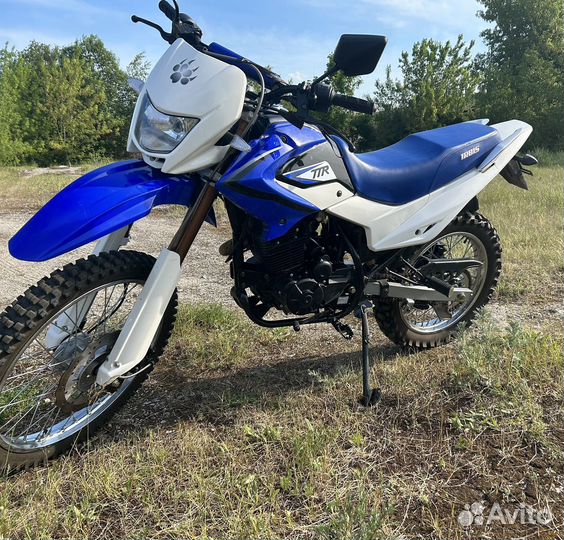 Irbis ттр 250
