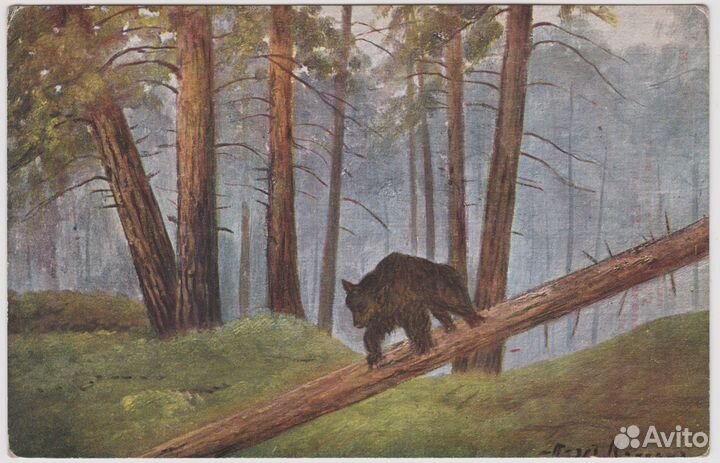 Антикварные открытки дореволюционных обществ