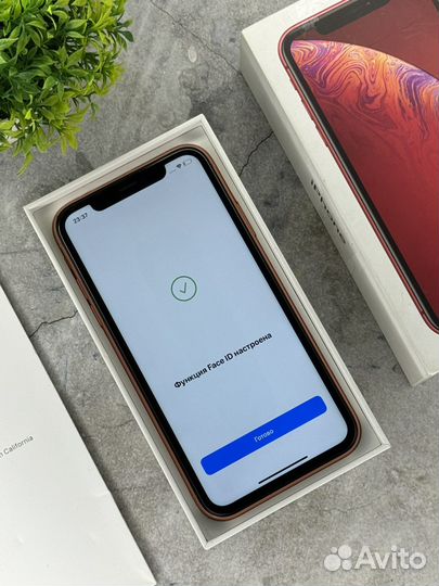 iPhone Xr, 128 ГБ