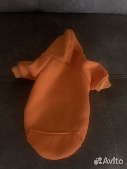 Худи для маленьких собачек