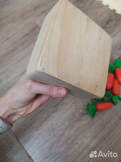 Сортер морковки