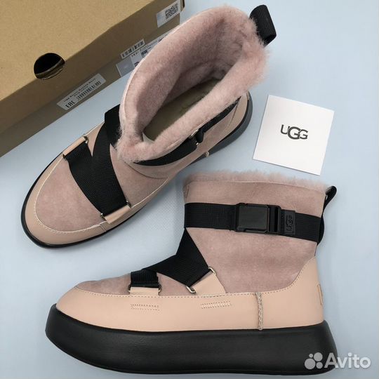 Угги Ugg Boom Buckle Boot Pink