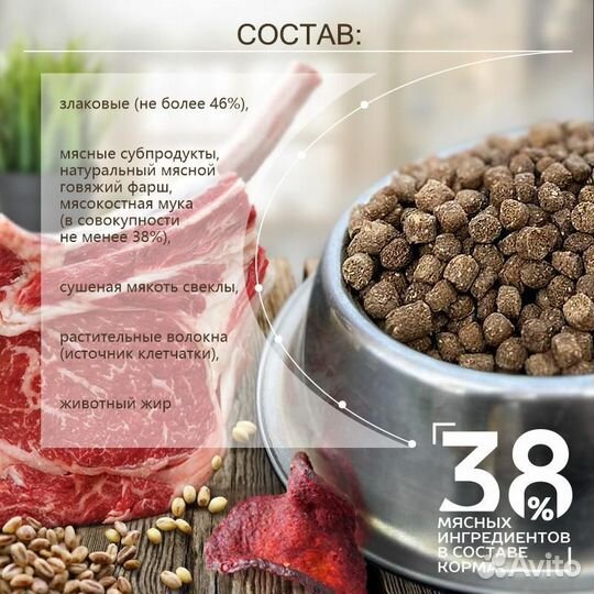 Сухой корм для собак