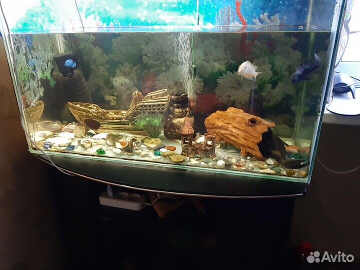 Аквариум с тумбой