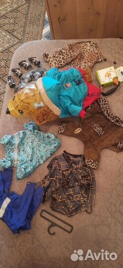 Одежда для маленьких пород собак