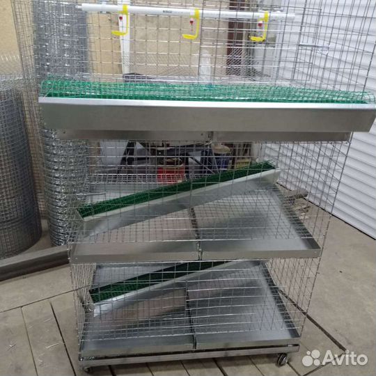 Брудер для цыплят