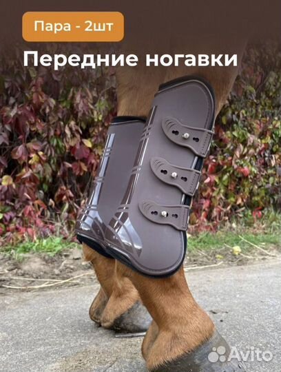 Ногавки для лошади стан