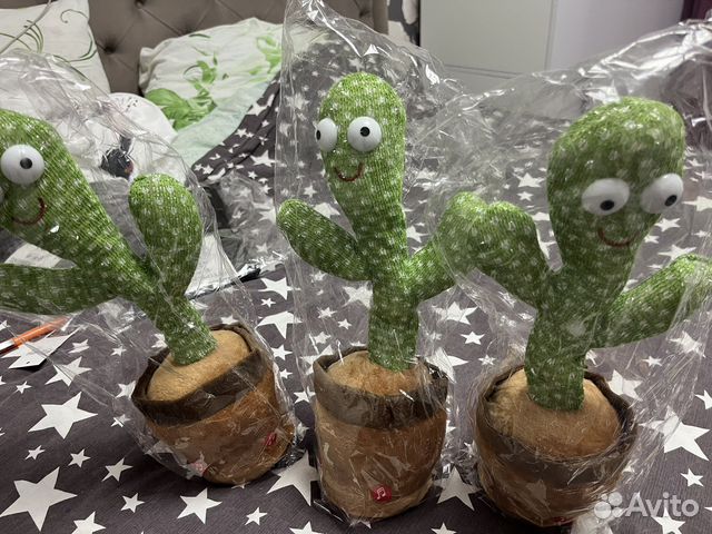 Поющий кактус